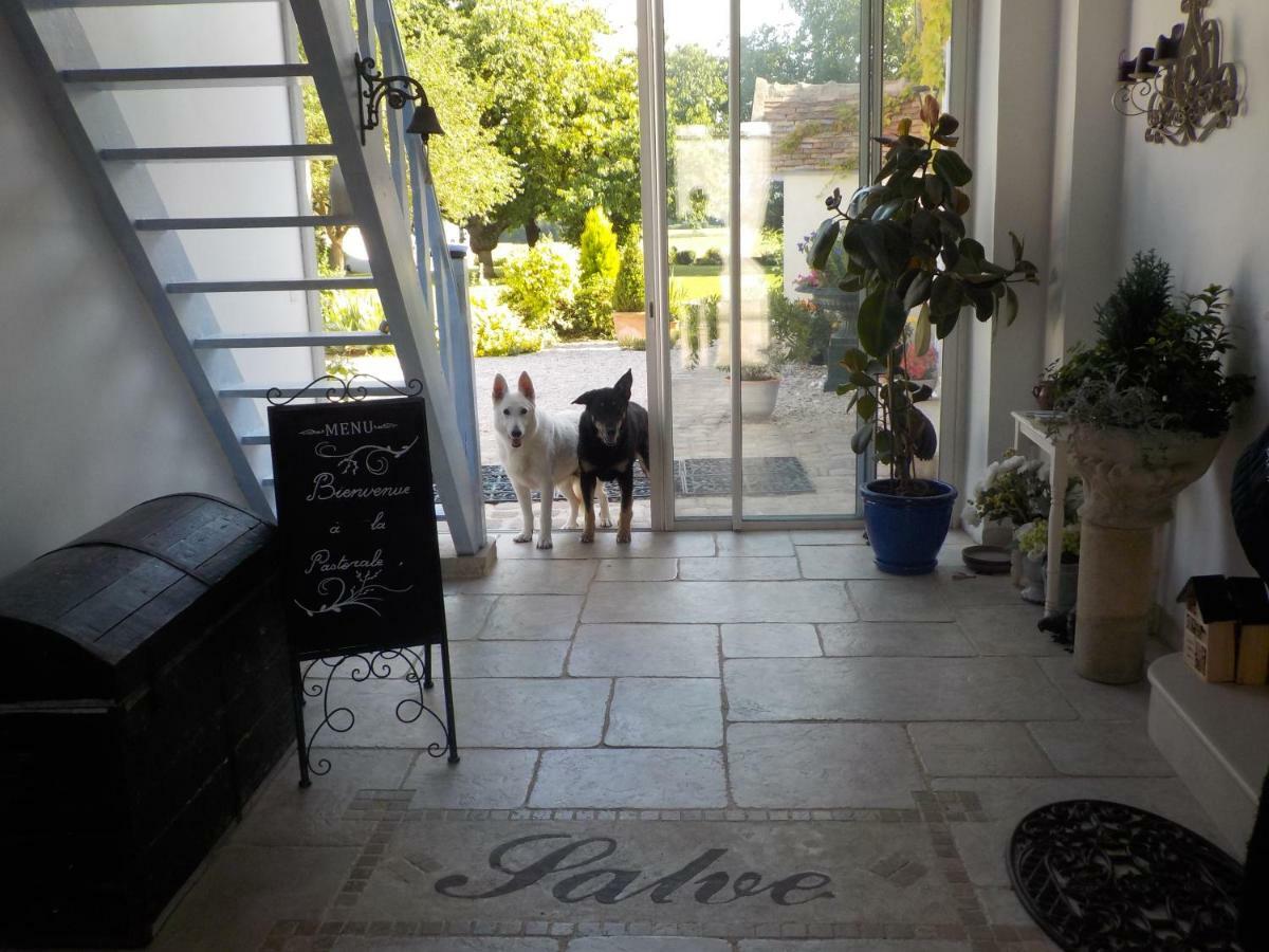 La Pastorale Bed & Breakfast Vinneuf Bagian luar foto