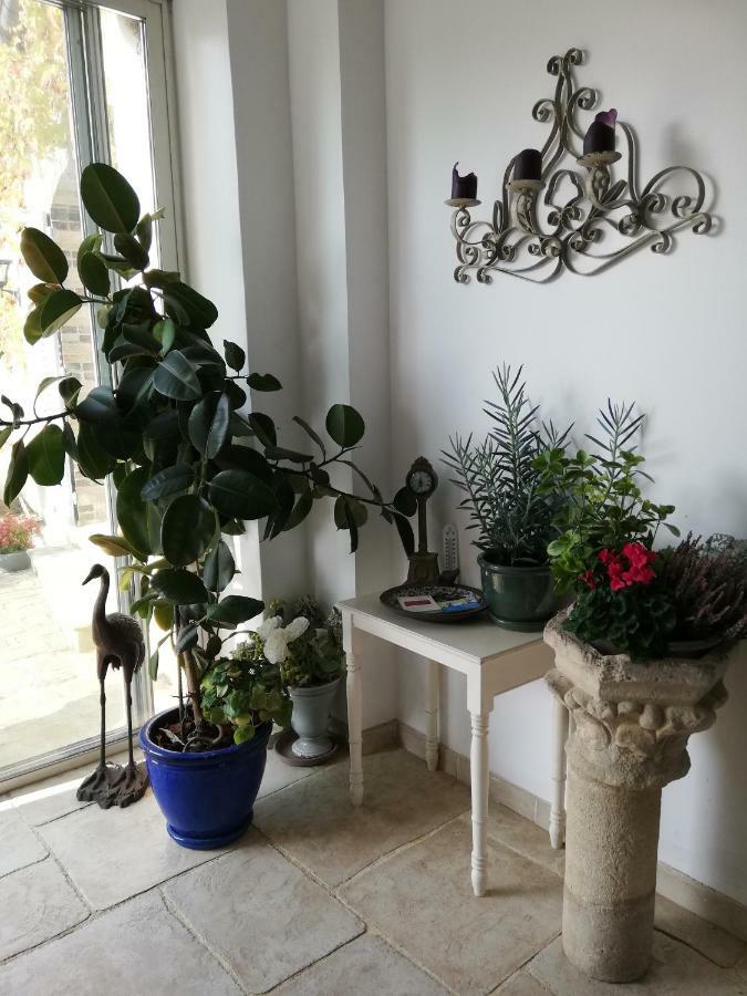 La Pastorale Bed & Breakfast Vinneuf Bagian luar foto